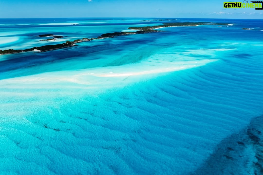 Carmel Rose - 9.2K Likes - Breaking up the fashion week content to share with you a special diving adventure @perrinjames1 & I just went on in the Bahamas 🇧🇸 all aboard Noverra

 (aka Harbor House)