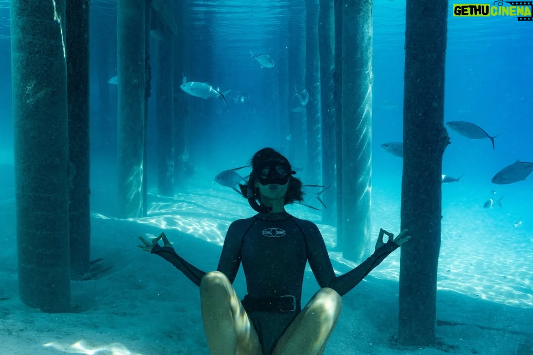 Carmel Rose - 9.2K Likes - Breaking up the fashion week content to share with you a special diving adventure @perrinjames1 & I just went on in the Bahamas 🇧🇸 all aboard Noverra

 (aka Harbor House)