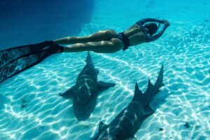 Carmel Rose Instagram - Breaking up the fashion week content to share with you a special diving adventure @perrinjames1 & I just went on in the Bahamas 🇧🇸 all aboard Noverra

 (aka Harbor House)