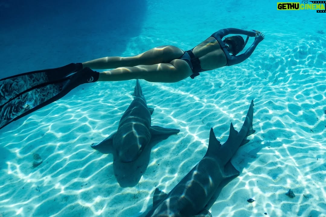 Carmel Rose - 9.2K Likes - Breaking up the fashion week content to share with you a special diving adventure @perrinjames1 & I just went on in the Bahamas 🇧🇸 all aboard Noverra

 (aka Harbor House)