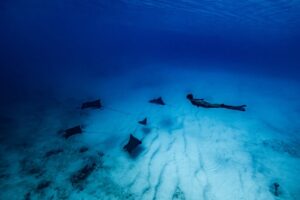 Carmel Rose Instagram - Breaking up the fashion week content to share with you a special diving adventure @perrinjames1 & I just went on in the Bahamas 🇧🇸 all aboard Noverra

 (aka Harbor House)