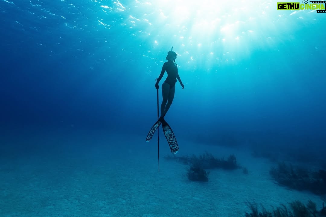 Carmel Rose - 9.2K Likes - Breaking up the fashion week content to share with you a special diving adventure @perrinjames1 & I just went on in the Bahamas 🇧🇸 all aboard Noverra

 (aka Harbor House)