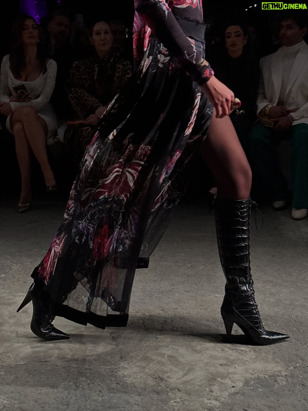 Carmel Rose - 7.9K Likes - Sweet dreams are made of @roberto_cavalli