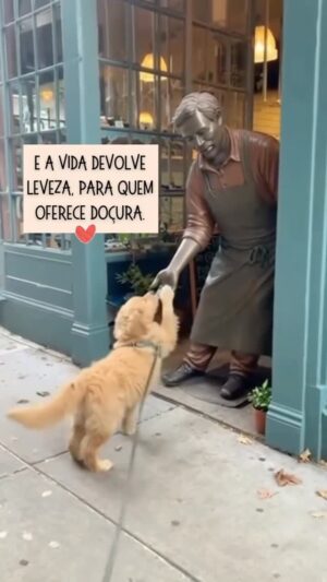 Catia Fonseca Instagram - Quando você oferece doçura, a vida sempre encontra um jeito de devolver. 💛 ✨