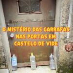 Catia Fonseca