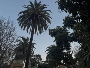 Cecilia Suárez Instagram - Málaga entre películas, palmeras, amigos, colegas, encuentros y risotadas…..💫
La vida es bonita.