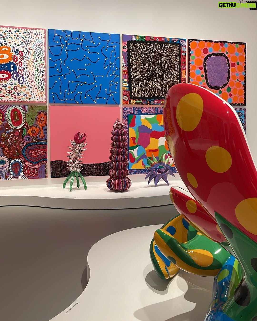 Charlee Fraser - 2.2K Likes - #NGV • 🧸