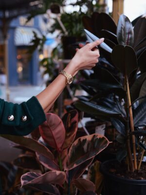 Charlee Fraser Instagram - The last time I can remember wearing a watch was around the age of 4 when my grandparents began teaching me about ‘time’. At that age, I felt confused and imprisoned by the concept. Avoidant, uninterested, and unnecessary. Why did I need to know how to ‘tell time’? My adolescence was meant for creativity, adventure, and learning. 

With everything that has evolved in the world since, technology and social media specifically, putting on a watch now after all these years feels like freedom. Without having to look at a screen or spot a digital clock, a mere peak at my @OMEGA Seamaster Aqua Terra 30mm to mark the day, has returned much more of my youth and presence then I ever deeply considered over wearing a timepiece. I’m far less distracted, more accomplished, and feel a sense of reclamation. There’s more space for mindfulness, imagination, invention and venture. I feel a step closer to nature and connection, not just with the world, but people too. 

From someone who’s always felt ‘out of time’, to someone who now has ‘nothing but time’. 🕰️

#OMEGA #Seamaster #AquaTerra #30mm
#paidpartnership