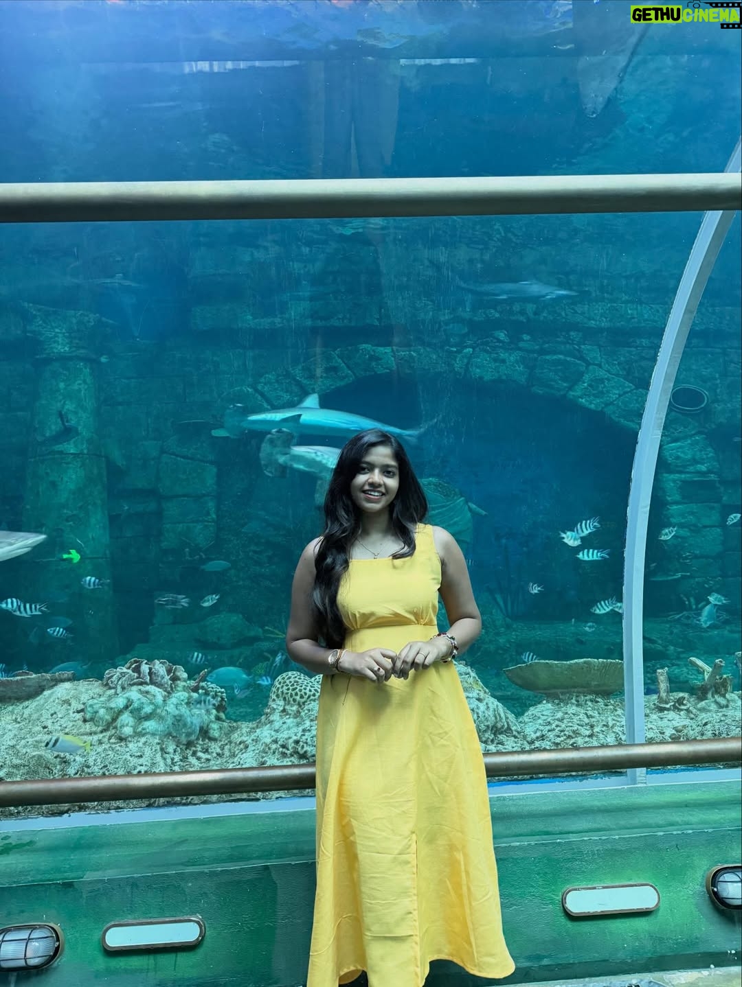 Charumathi Saravanan - 34.2K Likes - 🐒Me as a Oru naal princess in VinWonders👸😎 Day-2 in Phu Quoc🥰
.
Comment Link for Manjaaa dress
Travel partner: @tour_de_india_holidays