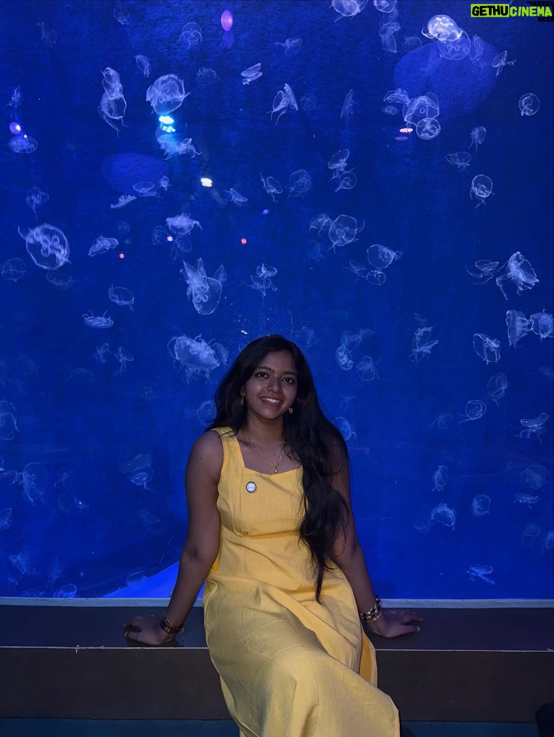 Charumathi Saravanan - 34.2K Likes - 🐒Me as a Oru naal princess in VinWonders👸😎 Day-2 in Phu Quoc🥰
.
Comment Link for Manjaaa dress
Travel partner: @tour_de_india_holidays