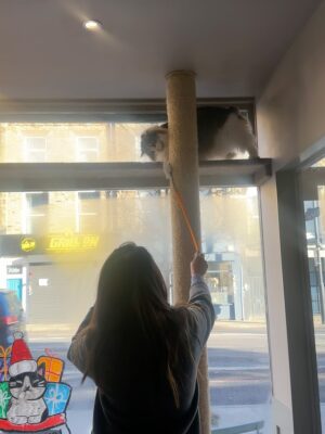 Charvi Tanya Dutta Instagram - Breakfast with the cats 🐈‍⬛ 🐈 

#catscafe #cats_of_instagram #cats #london