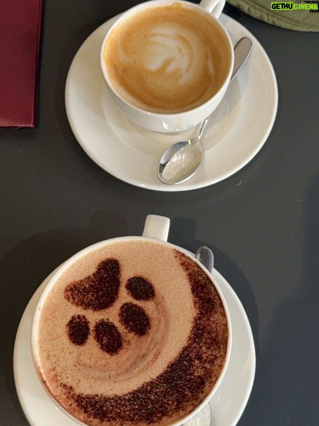 Charvi Tanya Dutta - 2.1K Likes - Breakfast with the cats 🐈‍⬛ 🐈 

#catscafe #cats_of_instagram #cats #london