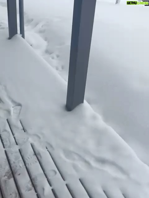 Chelsea Handler - 148K Likes - I decided it was time to remind myself of some of the natural beauty in this world, so I swung by Finland for some northern light and igloo action. One of the most peaceful places I have ever been and got to celebrate my birthday in the Arctic Circle in my birthday suit.