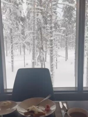 Chelsea Handler Instagram - I decided it was time to remind myself of some of the natural beauty in this world, so I swung by Finland for some northern light and igloo action. One of the most peaceful places I have ever been and got to celebrate my birthday in the Arctic Circle in my birthday suit.