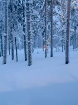 Chelsea Handler Instagram - I decided it was time to remind myself of some of the natural beauty in this world, so I swung by Finland for some northern light and igloo action. One of the most peaceful places I have ever been and got to celebrate my birthday in the Arctic Circle in my birthday suit.