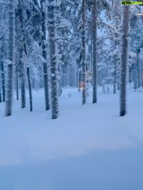 Chelsea Handler - 148K Likes - I decided it was time to remind myself of some of the natural beauty in this world, so I swung by Finland for some northern light and igloo action. One of the most peaceful places I have ever been and got to celebrate my birthday in the Arctic Circle in my birthday suit.