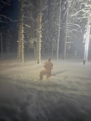 Chelsea Handler Instagram - I decided it was time to remind myself of some of the natural beauty in this world, so I swung by Finland for some northern light and igloo action. One of the most peaceful places I have ever been and got to celebrate my birthday in the Arctic Circle in my birthday suit.