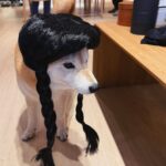 Chien Hung