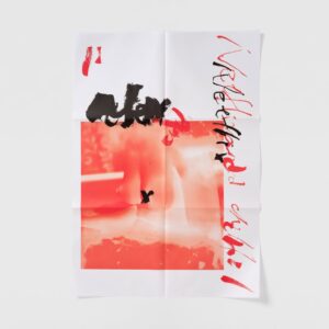Chin-Lan Chang Instagram - ★ work²⁰²⁶ → Art project produced for the 10th anniversary of Taipei Art Book Fair
────────────────
平面設計師葉忠宜與台灣藝人張景嵐在台北藝術書展「
@taipeiartbookfair 草率季」10週年之際，所共同創作的藝術印刷品「慾: desire」。以書法與攝影的形式去詮釋亞洲對於「性」的隱晦描述。以黑膠封面的製作形式，收納6張A1的海報作品。2026年3月6日正式販售。另有6幅超大幅印刷作品於草率季特別展區展覽。
────────────────
Yeh Chung-Yi & Chang Chin-Lan interpret the various covert behaviors of “desire” in Asian societies through photography and calligraphy. Marking the 10th anniversary of  Taipei Art Book Fair, we look back at our feelings of longing and confusion about exploring art ten years ago; this body of work revives that original spirit in our creative practice. Presented in the format of a vinyl record sleeve, it houses six A1 posters. Official sale begins March 6, 2026. Six additional oversized prints are exhibited in the Caoshuji special exhibition area.
────────────────
neme: “慾: desire”
co-work: yehchungyi x changchinlan
genre: photography, calligraphy 
size: 32 x 31 cm
contents: A1 poster x 6
price: NTD $3500（元）
60 limited
release date: 2026.03.06–
───────────────
you can get it at weightbooks & Taipei art book fair 
───────────────
 #graphicdesign #photography #typography #yehchungyi #changchinlan