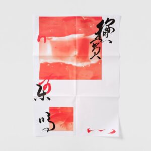 Chin-Lan Chang Instagram - ★ work²⁰²⁶ → Art project produced for the 10th anniversary of Taipei Art Book Fair
────────────────
平面設計師葉忠宜與台灣藝人張景嵐在台北藝術書展「
@taipeiartbookfair 草率季」10週年之際，所共同創作的藝術印刷品「慾: desire」。以書法與攝影的形式去詮釋亞洲對於「性」的隱晦描述。以黑膠封面的製作形式，收納6張A1的海報作品。2026年3月6日正式販售。另有6幅超大幅印刷作品於草率季特別展區展覽。
────────────────
Yeh Chung-Yi & Chang Chin-Lan interpret the various covert behaviors of “desire” in Asian societies through photography and calligraphy. Marking the 10th anniversary of  Taipei Art Book Fair, we look back at our feelings of longing and confusion about exploring art ten years ago; this body of work revives that original spirit in our creative practice. Presented in the format of a vinyl record sleeve, it houses six A1 posters. Official sale begins March 6, 2026. Six additional oversized prints are exhibited in the Caoshuji special exhibition area.
────────────────
neme: “慾: desire”
co-work: yehchungyi x changchinlan
genre: photography, calligraphy 
size: 32 x 31 cm
contents: A1 poster x 6
price: NTD $3500（元）
60 limited
release date: 2026.03.06–
───────────────
you can get it at weightbooks & Taipei art book fair 
───────────────
 #graphicdesign #photography #typography #yehchungyi #changchinlan