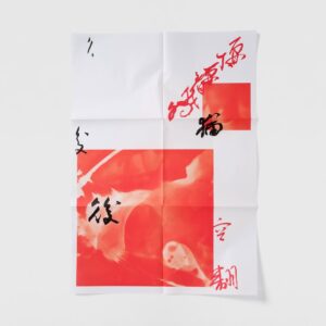 Chin-Lan Chang Instagram - ★ work²⁰²⁶ → Art project produced for the 10th anniversary of Taipei Art Book Fair
────────────────
平面設計師葉忠宜與台灣藝人張景嵐在台北藝術書展「
@taipeiartbookfair 草率季」10週年之際，所共同創作的藝術印刷品「慾: desire」。以書法與攝影的形式去詮釋亞洲對於「性」的隱晦描述。以黑膠封面的製作形式，收納6張A1的海報作品。2026年3月6日正式販售。另有6幅超大幅印刷作品於草率季特別展區展覽。
────────────────
Yeh Chung-Yi & Chang Chin-Lan interpret the various covert behaviors of “desire” in Asian societies through photography and calligraphy. Marking the 10th anniversary of  Taipei Art Book Fair, we look back at our feelings of longing and confusion about exploring art ten years ago; this body of work revives that original spirit in our creative practice. Presented in the format of a vinyl record sleeve, it houses six A1 posters. Official sale begins March 6, 2026. Six additional oversized prints are exhibited in the Caoshuji special exhibition area.
────────────────
neme: “慾: desire”
co-work: yehchungyi x changchinlan
genre: photography, calligraphy 
size: 32 x 31 cm
contents: A1 poster x 6
price: NTD $3500（元）
60 limited
release date: 2026.03.06–
───────────────
you can get it at weightbooks & Taipei art book fair 
───────────────
 #graphicdesign #photography #typography #yehchungyi #changchinlan