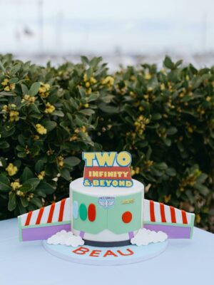 Chloe Bridges Instagram - I can’t believe he’s 2 😭😭😭😭 thank you to best photographer @sperlingphotoco best planner @michelletonk and everyone who came to celebrate