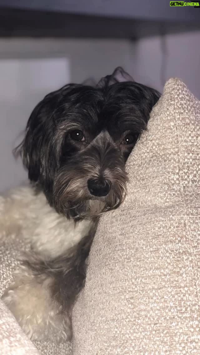 Christine Lampard - 8.2K Likes - Our little girl is 10! #minnie 🐾 🎂