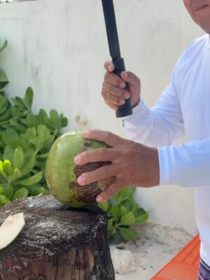 Christine Obanor Instagram - Mexico will never disappoint 🏝️🇲🇽