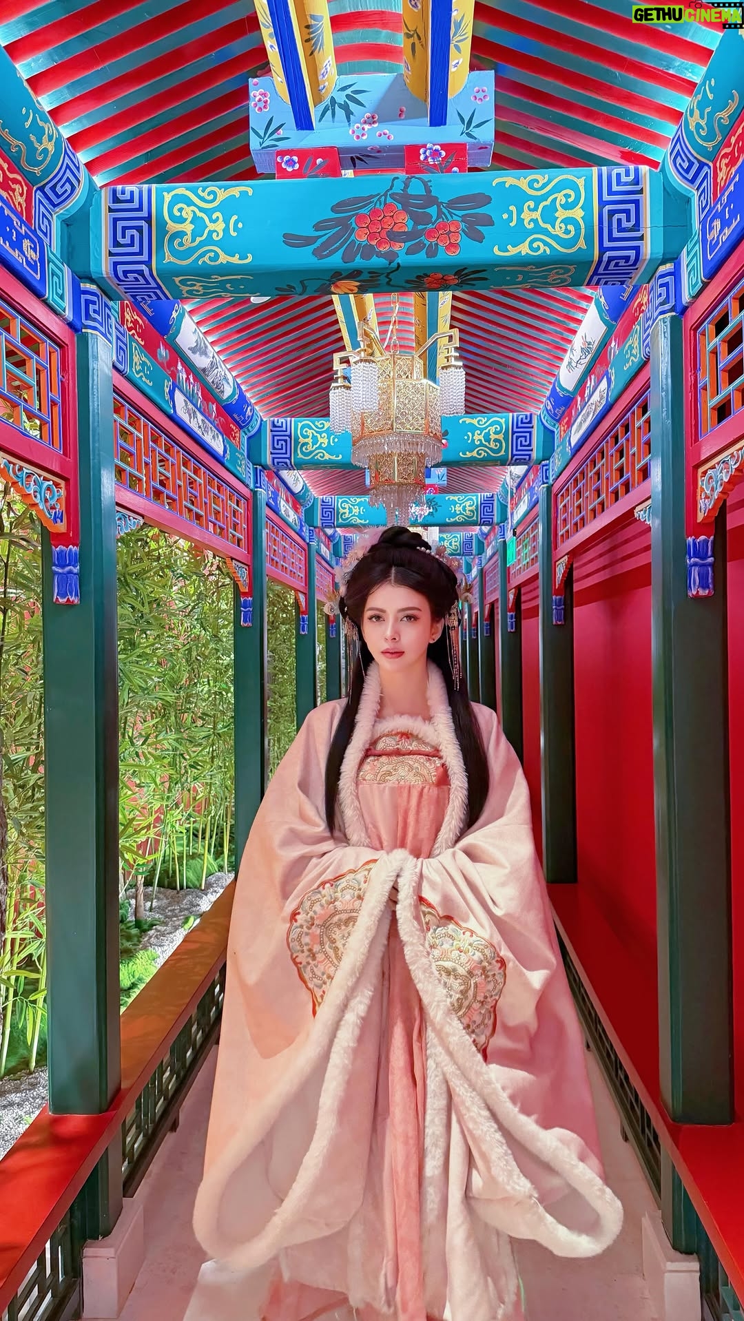 Cindy May McGuire - 3.9K Likes - Delightful dinner to welcome prosperity 🍽️✨
.
.
.
 #CNY #ChineseNewYear #ramadhan