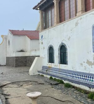 Cláudia Vieira Instagram - Esta semana fui com a minha agência à zona de Leiria, Marinha Grande e São Pedro de Moel e o que vos posso retratar é que é desolador ver ao vivo tanta destruição, tanto perda, tanto desgaste emocional por parte daquelas pessoas. Quando vimos na televisão, nas redes sociais, tudo o que nos tem chegado, acreditem; ao vivo é mesmo muito mais grave, mais impactante… a sensação de impotência tomou conta de nós, porque não é demasiado dizer que é um cenário de guerra, é incomodo, desolador e extremamente desumano a luta diária e o efeito traumático provocado na madrugada de há quinze dias atrás. 
É o trabalho de uma vida perdido e a incerteza de que alguma vez se vá conseguir repor. É preciso muita força e muitos apoios para ajudar a reerguer todas as  zonas do nosso país que foram e estão a ser afetadas por estas tempestades. É urgente encontrar soluções e também tão urgente ganharmos consciência dos hábitos que temos.

Por outro lado é de louvar a força, a empatia, a capacidade de entre ajuda que se sente. A gratidão de se sentirem apoiados por quem se disponibiliza para ajudar, o pedido de partilha por parte de quem está no terreno, porque estão muito organizados, mas conscientes de que vai ser necessário que os apoios cheguem. 
Não faria sequer este post, se não fosse para chamar a atenção que a ajuda não pode ser dada só agora, mas sim, de forma contínua e com dimensão. 
Uma dimensão que acompanhe a dimensão da destruição!

Muita coragem e alento para todos, e para tudo o que ainda vão ter de enfrentar! 🤍
