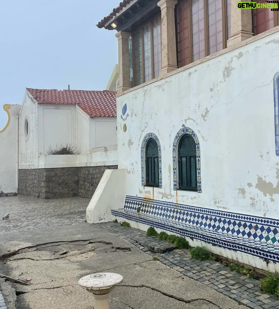 Cláudia Vieira - 12.8K Likes - Esta semana fui com a minha agência à zona de Leiria, Marinha Grande e São Pedro de Moel e o que vos posso retratar é que é desolador ver ao vivo tanta destruição, tanto perda, tanto desgaste emocional por parte daquelas pessoas. Quando vimos na televisão, nas redes sociais, tudo o que nos tem chegado, acreditem; ao vivo é mesmo muito mais grave, mais impactante… a sensação de impotência tomou conta de nós, porque não é demasiado dizer que é um cenário de guerra, é incomodo, desolador e extremamente desumano a luta diária e o efeito traumático provocado na madrugada de há quinze dias atrás. 
É o trabalho de uma vida perdido e a incerteza de que alguma vez se vá conseguir repor. É preciso muita força e muitos apoios para ajudar a reerguer todas as  zonas do nosso país que foram e estão a ser afetadas por estas tempestades. É urgente encontrar soluções e também tão urgente ganharmos consciência dos hábitos que temos.

Por outro lado é de louvar a força, a empatia, a capacidade de entre ajuda que se sente. A gratidão de se sentirem apoiados por quem se disponibiliza para ajudar, o pedido de partilha por parte de quem está no terreno, porque estão muito organizados, mas conscientes de que vai ser necessário que os apoios cheguem. 
Não faria sequer este post, se não fosse para chamar a atenção que a ajuda não pode ser dada só agora, mas sim, de forma contínua e com dimensão. 
Uma dimensão que acompanhe a dimensão da destruição!

Muita coragem e alento para todos, e para tudo o que ainda vão ter de enfrentar! 🤍