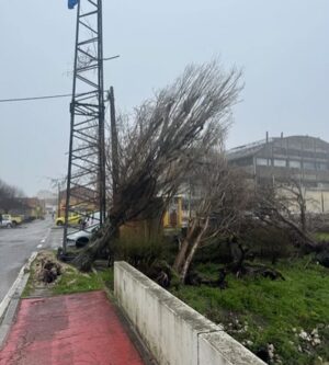 Cláudia Vieira Instagram - Esta semana fui com a minha agência à zona de Leiria, Marinha Grande e São Pedro de Moel e o que vos posso retratar é que é desolador ver ao vivo tanta destruição, tanto perda, tanto desgaste emocional por parte daquelas pessoas. Quando vimos na televisão, nas redes sociais, tudo o que nos tem chegado, acreditem; ao vivo é mesmo muito mais grave, mais impactante… a sensação de impotência tomou conta de nós, porque não é demasiado dizer que é um cenário de guerra, é incomodo, desolador e extremamente desumano a luta diária e o efeito traumático provocado na madrugada de há quinze dias atrás. 
É o trabalho de uma vida perdido e a incerteza de que alguma vez se vá conseguir repor. É preciso muita força e muitos apoios para ajudar a reerguer todas as  zonas do nosso país que foram e estão a ser afetadas por estas tempestades. É urgente encontrar soluções e também tão urgente ganharmos consciência dos hábitos que temos.

Por outro lado é de louvar a força, a empatia, a capacidade de entre ajuda que se sente. A gratidão de se sentirem apoiados por quem se disponibiliza para ajudar, o pedido de partilha por parte de quem está no terreno, porque estão muito organizados, mas conscientes de que vai ser necessário que os apoios cheguem. 
Não faria sequer este post, se não fosse para chamar a atenção que a ajuda não pode ser dada só agora, mas sim, de forma contínua e com dimensão. 
Uma dimensão que acompanhe a dimensão da destruição!

Muita coragem e alento para todos, e para tudo o que ainda vão ter de enfrentar! 🤍