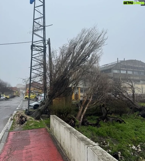 Cláudia Vieira - 12.8K Likes - Esta semana fui com a minha agência à zona de Leiria, Marinha Grande e São Pedro de Moel e o que vos posso retratar é que é desolador ver ao vivo tanta destruição, tanto perda, tanto desgaste emocional por parte daquelas pessoas. Quando vimos na televisão, nas redes sociais, tudo o que nos tem chegado, acreditem; ao vivo é mesmo muito mais grave, mais impactante… a sensação de impotência tomou conta de nós, porque não é demasiado dizer que é um cenário de guerra, é incomodo, desolador e extremamente desumano a luta diária e o efeito traumático provocado na madrugada de há quinze dias atrás. 
É o trabalho de uma vida perdido e a incerteza de que alguma vez se vá conseguir repor. É preciso muita força e muitos apoios para ajudar a reerguer todas as  zonas do nosso país que foram e estão a ser afetadas por estas tempestades. É urgente encontrar soluções e também tão urgente ganharmos consciência dos hábitos que temos.

Por outro lado é de louvar a força, a empatia, a capacidade de entre ajuda que se sente. A gratidão de se sentirem apoiados por quem se disponibiliza para ajudar, o pedido de partilha por parte de quem está no terreno, porque estão muito organizados, mas conscientes de que vai ser necessário que os apoios cheguem. 
Não faria sequer este post, se não fosse para chamar a atenção que a ajuda não pode ser dada só agora, mas sim, de forma contínua e com dimensão. 
Uma dimensão que acompanhe a dimensão da destruição!

Muita coragem e alento para todos, e para tudo o que ainda vão ter de enfrentar! 🤍