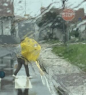 Cláudia Vieira Instagram - Esta semana fui com a minha agência à zona de Leiria, Marinha Grande e São Pedro de Moel e o que vos posso retratar é que é desolador ver ao vivo tanta destruição, tanto perda, tanto desgaste emocional por parte daquelas pessoas. Quando vimos na televisão, nas redes sociais, tudo o que nos tem chegado, acreditem; ao vivo é mesmo muito mais grave, mais impactante… a sensação de impotência tomou conta de nós, porque não é demasiado dizer que é um cenário de guerra, é incomodo, desolador e extremamente desumano a luta diária e o efeito traumático provocado na madrugada de há quinze dias atrás. 
É o trabalho de uma vida perdido e a incerteza de que alguma vez se vá conseguir repor. É preciso muita força e muitos apoios para ajudar a reerguer todas as  zonas do nosso país que foram e estão a ser afetadas por estas tempestades. É urgente encontrar soluções e também tão urgente ganharmos consciência dos hábitos que temos.

Por outro lado é de louvar a força, a empatia, a capacidade de entre ajuda que se sente. A gratidão de se sentirem apoiados por quem se disponibiliza para ajudar, o pedido de partilha por parte de quem está no terreno, porque estão muito organizados, mas conscientes de que vai ser necessário que os apoios cheguem. 
Não faria sequer este post, se não fosse para chamar a atenção que a ajuda não pode ser dada só agora, mas sim, de forma contínua e com dimensão. 
Uma dimensão que acompanhe a dimensão da destruição!

Muita coragem e alento para todos, e para tudo o que ainda vão ter de enfrentar! 🤍