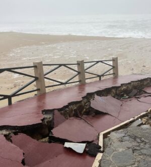 Cláudia Vieira Instagram - Esta semana fui com a minha agência à zona de Leiria, Marinha Grande e São Pedro de Moel e o que vos posso retratar é que é desolador ver ao vivo tanta destruição, tanto perda, tanto desgaste emocional por parte daquelas pessoas. Quando vimos na televisão, nas redes sociais, tudo o que nos tem chegado, acreditem; ao vivo é mesmo muito mais grave, mais impactante… a sensação de impotência tomou conta de nós, porque não é demasiado dizer que é um cenário de guerra, é incomodo, desolador e extremamente desumano a luta diária e o efeito traumático provocado na madrugada de há quinze dias atrás. 
É o trabalho de uma vida perdido e a incerteza de que alguma vez se vá conseguir repor. É preciso muita força e muitos apoios para ajudar a reerguer todas as  zonas do nosso país que foram e estão a ser afetadas por estas tempestades. É urgente encontrar soluções e também tão urgente ganharmos consciência dos hábitos que temos.

Por outro lado é de louvar a força, a empatia, a capacidade de entre ajuda que se sente. A gratidão de se sentirem apoiados por quem se disponibiliza para ajudar, o pedido de partilha por parte de quem está no terreno, porque estão muito organizados, mas conscientes de que vai ser necessário que os apoios cheguem. 
Não faria sequer este post, se não fosse para chamar a atenção que a ajuda não pode ser dada só agora, mas sim, de forma contínua e com dimensão. 
Uma dimensão que acompanhe a dimensão da destruição!

Muita coragem e alento para todos, e para tudo o que ainda vão ter de enfrentar! 🤍