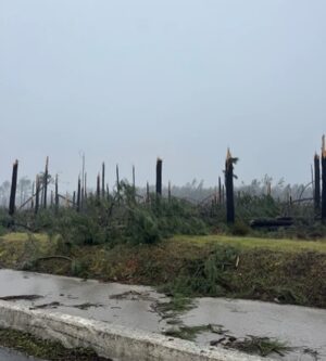 Cláudia Vieira Instagram - Esta semana fui com a minha agência à zona de Leiria, Marinha Grande e São Pedro de Moel e o que vos posso retratar é que é desolador ver ao vivo tanta destruição, tanto perda, tanto desgaste emocional por parte daquelas pessoas. Quando vimos na televisão, nas redes sociais, tudo o que nos tem chegado, acreditem; ao vivo é mesmo muito mais grave, mais impactante… a sensação de impotência tomou conta de nós, porque não é demasiado dizer que é um cenário de guerra, é incomodo, desolador e extremamente desumano a luta diária e o efeito traumático provocado na madrugada de há quinze dias atrás. 
É o trabalho de uma vida perdido e a incerteza de que alguma vez se vá conseguir repor. É preciso muita força e muitos apoios para ajudar a reerguer todas as  zonas do nosso país que foram e estão a ser afetadas por estas tempestades. É urgente encontrar soluções e também tão urgente ganharmos consciência dos hábitos que temos.

Por outro lado é de louvar a força, a empatia, a capacidade de entre ajuda que se sente. A gratidão de se sentirem apoiados por quem se disponibiliza para ajudar, o pedido de partilha por parte de quem está no terreno, porque estão muito organizados, mas conscientes de que vai ser necessário que os apoios cheguem. 
Não faria sequer este post, se não fosse para chamar a atenção que a ajuda não pode ser dada só agora, mas sim, de forma contínua e com dimensão. 
Uma dimensão que acompanhe a dimensão da destruição!

Muita coragem e alento para todos, e para tudo o que ainda vão ter de enfrentar! 🤍