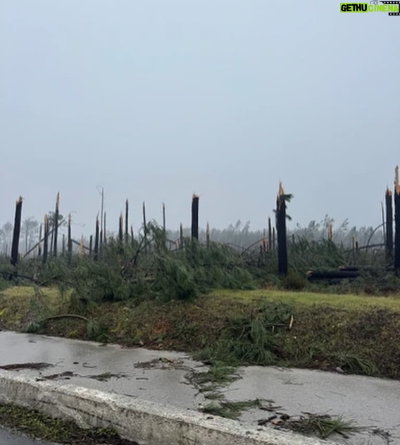 Cláudia Vieira - 12.8K Likes - Esta semana fui com a minha agência à zona de Leiria, Marinha Grande e São Pedro de Moel e o que vos posso retratar é que é desolador ver ao vivo tanta destruição, tanto perda, tanto desgaste emocional por parte daquelas pessoas. Quando vimos na televisão, nas redes sociais, tudo o que nos tem chegado, acreditem; ao vivo é mesmo muito mais grave, mais impactante… a sensação de impotência tomou conta de nós, porque não é demasiado dizer que é um cenário de guerra, é incomodo, desolador e extremamente desumano a luta diária e o efeito traumático provocado na madrugada de há quinze dias atrás. 
É o trabalho de uma vida perdido e a incerteza de que alguma vez se vá conseguir repor. É preciso muita força e muitos apoios para ajudar a reerguer todas as  zonas do nosso país que foram e estão a ser afetadas por estas tempestades. É urgente encontrar soluções e também tão urgente ganharmos consciência dos hábitos que temos.

Por outro lado é de louvar a força, a empatia, a capacidade de entre ajuda que se sente. A gratidão de se sentirem apoiados por quem se disponibiliza para ajudar, o pedido de partilha por parte de quem está no terreno, porque estão muito organizados, mas conscientes de que vai ser necessário que os apoios cheguem. 
Não faria sequer este post, se não fosse para chamar a atenção que a ajuda não pode ser dada só agora, mas sim, de forma contínua e com dimensão. 
Uma dimensão que acompanhe a dimensão da destruição!

Muita coragem e alento para todos, e para tudo o que ainda vão ter de enfrentar! 🤍
