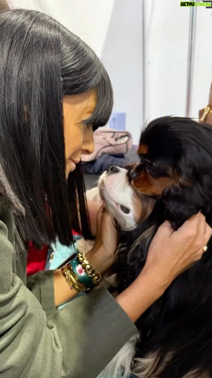 Claudia Winkleman - 21K Likes - The greatest four days. Thank you so so much to @crufts @channel4 @clarebalding and the entire brilliant team for having me. I loved every second. Xx