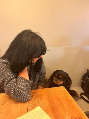 Claudia Winkleman Instagram - There are no words to describe my excitement. Thank you so so much to @channel4 @clarebalding @elliesimmonds and @iamradzi for letting me join your brilliant team. Crufts 2026. I have treats, a perfume that smells of ham and my dog voice 🥴 See you in March ❤️