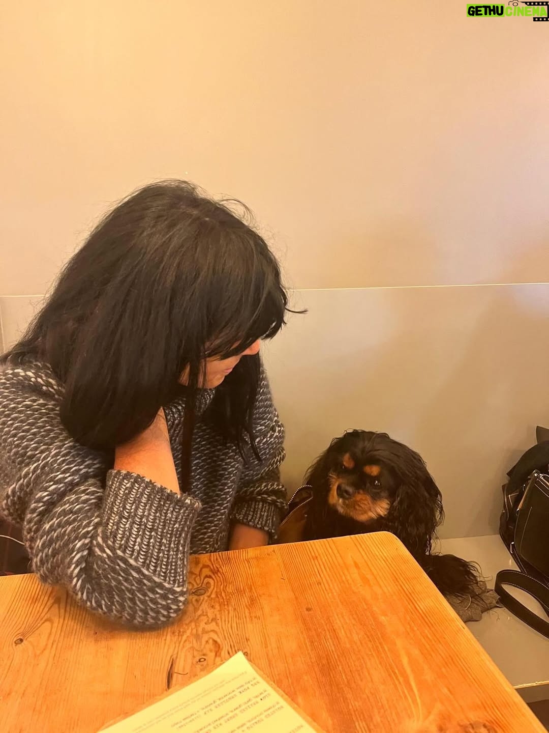 Claudia Winkleman - 93.6K Likes - There are no words to describe my excitement. Thank you so so much to @channel4 @clarebalding @elliesimmonds and @iamradzi for letting me join your brilliant team. Crufts 2026. I have treats, a perfume that smells of ham and my dog voice 🥴 See you in March ❤️
