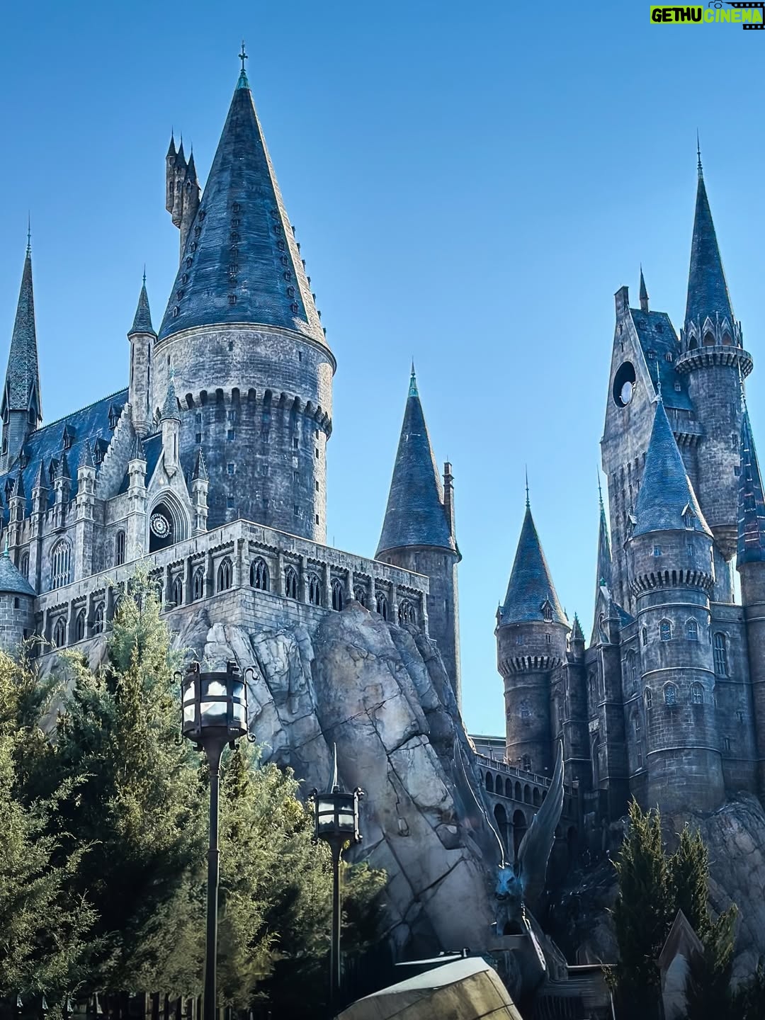 Cloé Cooper - 19.2K Likes - Retour en enfance 💕
Merci @universalorlando pour cette fabuleuse invitation ✨