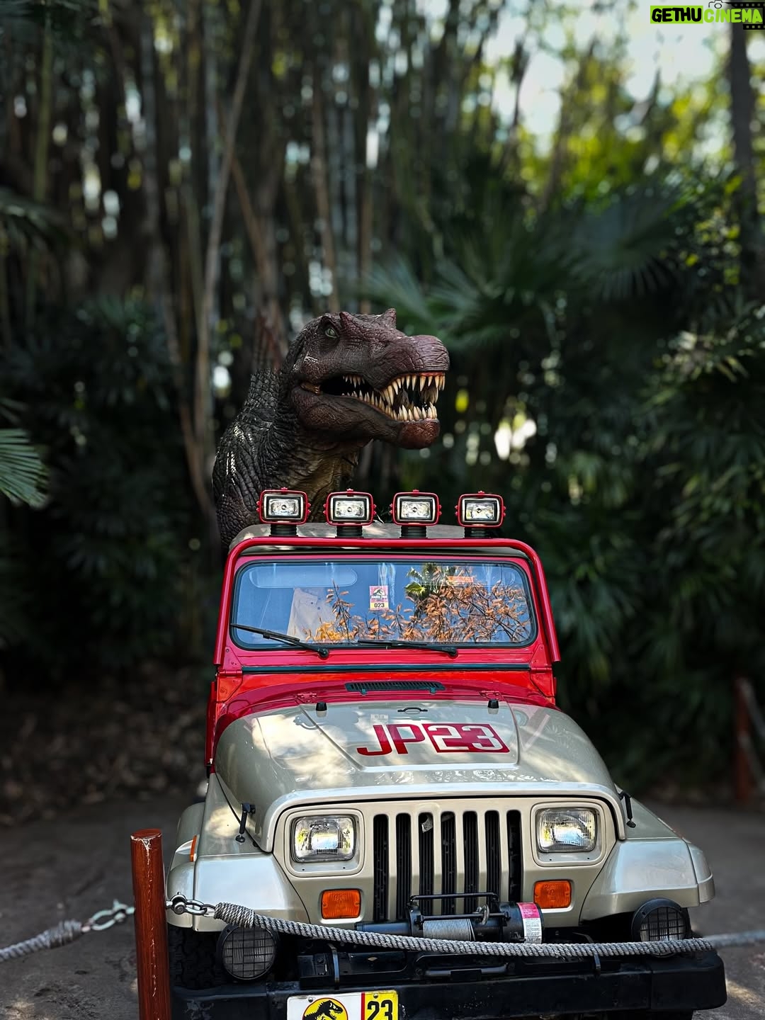 Cloé Cooper - 19.2K Likes - Retour en enfance 💕
Merci @universalorlando pour cette fabuleuse invitation ✨