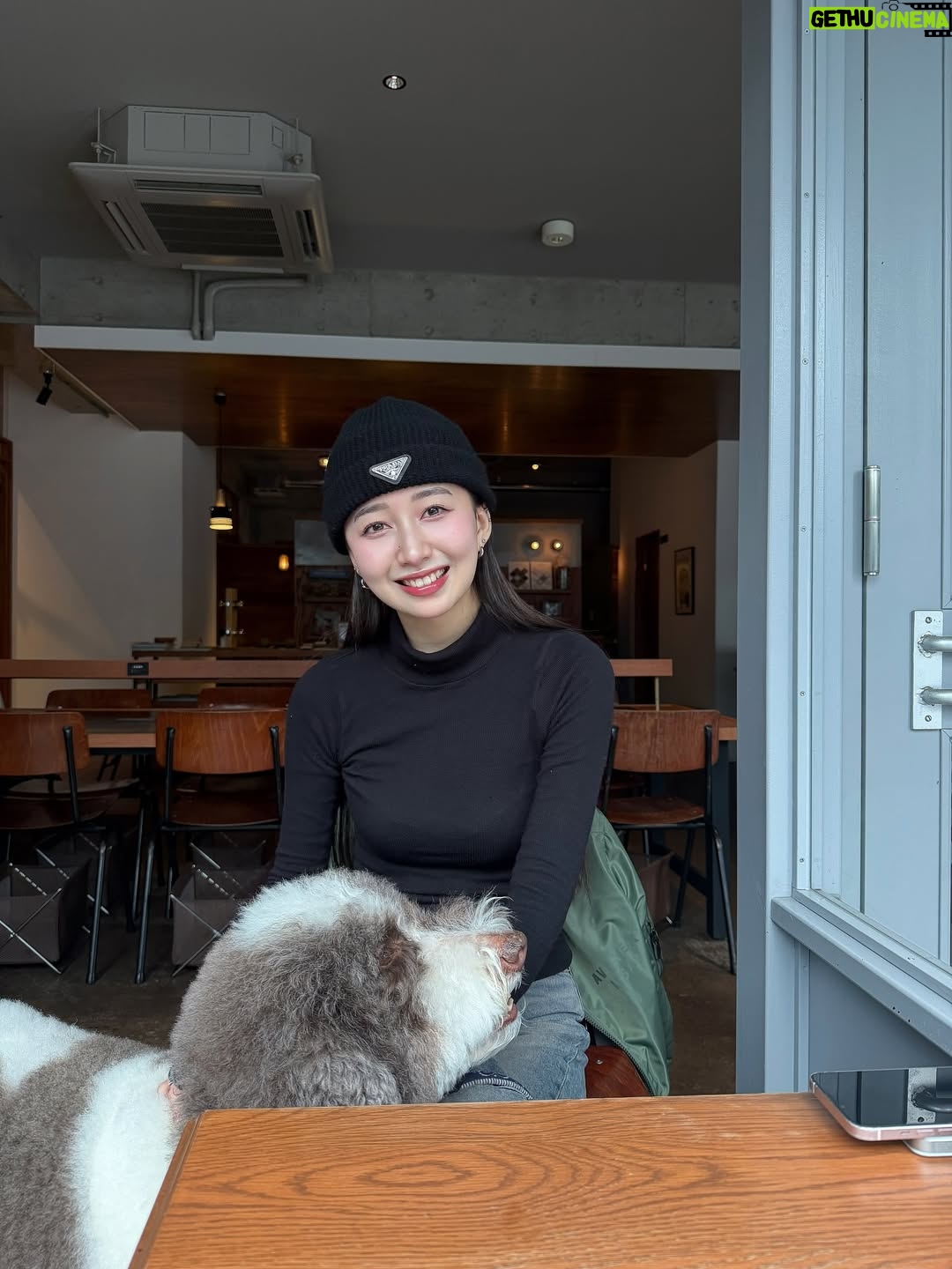 Cocomi - 74K Likes - 高校の同期とお茶（おやつ？）‼️
えと坊と行きました。可愛い。
「みかん、食べる？」って言って、私が残したのを刺してきました。最高に面白かったです。