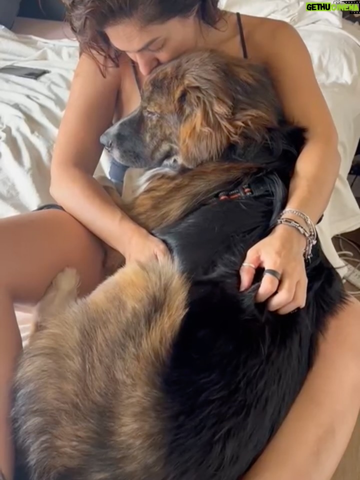 Connie Ballarini - 72K Likes - 3meses- 8meses 
siempre el mismo dulce y dormilón …. #Biznikke ❤️💤