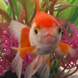 Constance Wu Instagram - I got my kids a goldfish. My daughter named it “Goldie.” I also got them a snail. My son named it “PeepeePoopoo.”
