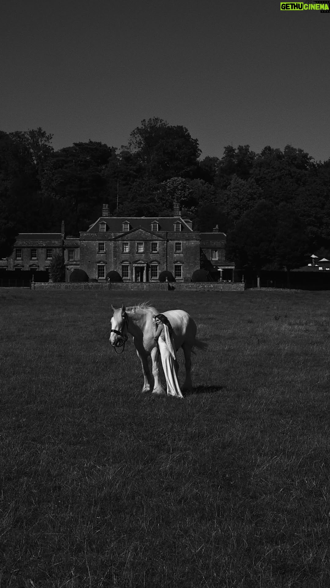 Courtney Halverson - 115.2K Likes - If I was a girl in a book, this would all be so easy. Just me, my sweeping manor (complete with extensive gardens), a large white stallion (for riding into town to buy books, ribbons, flowers, etc.), and perhaps a man who regularly uses expressions like “most ardently” and “yhbmbasaililily”. Is that so much to ask for?
.
.
.
From my recent trip to The Newt, co-starring this very gentle giant named Goose. 🪿 
.
.
.
#romanticstyle #feminineenergy #cinematicmoments #yhbmbasaililily