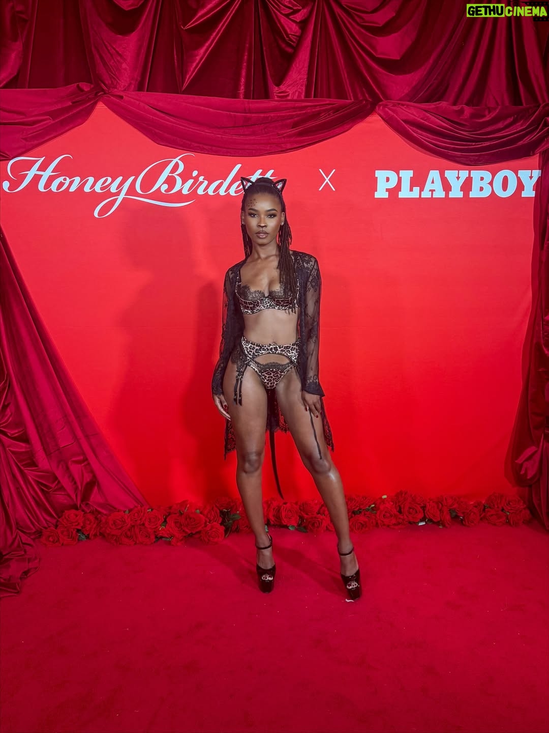 Courtney Randolph - 1.2K Likes - Luxury looks better after dark 🥂✨

Thank you @blkpr for the invitation to the annual Honey Birdette x @playboy Halloween soirée — sophistication with a touch of seduction.

Wearing the Addison 3-piece set and Love Lace Robe by @honeybirdette 🐆