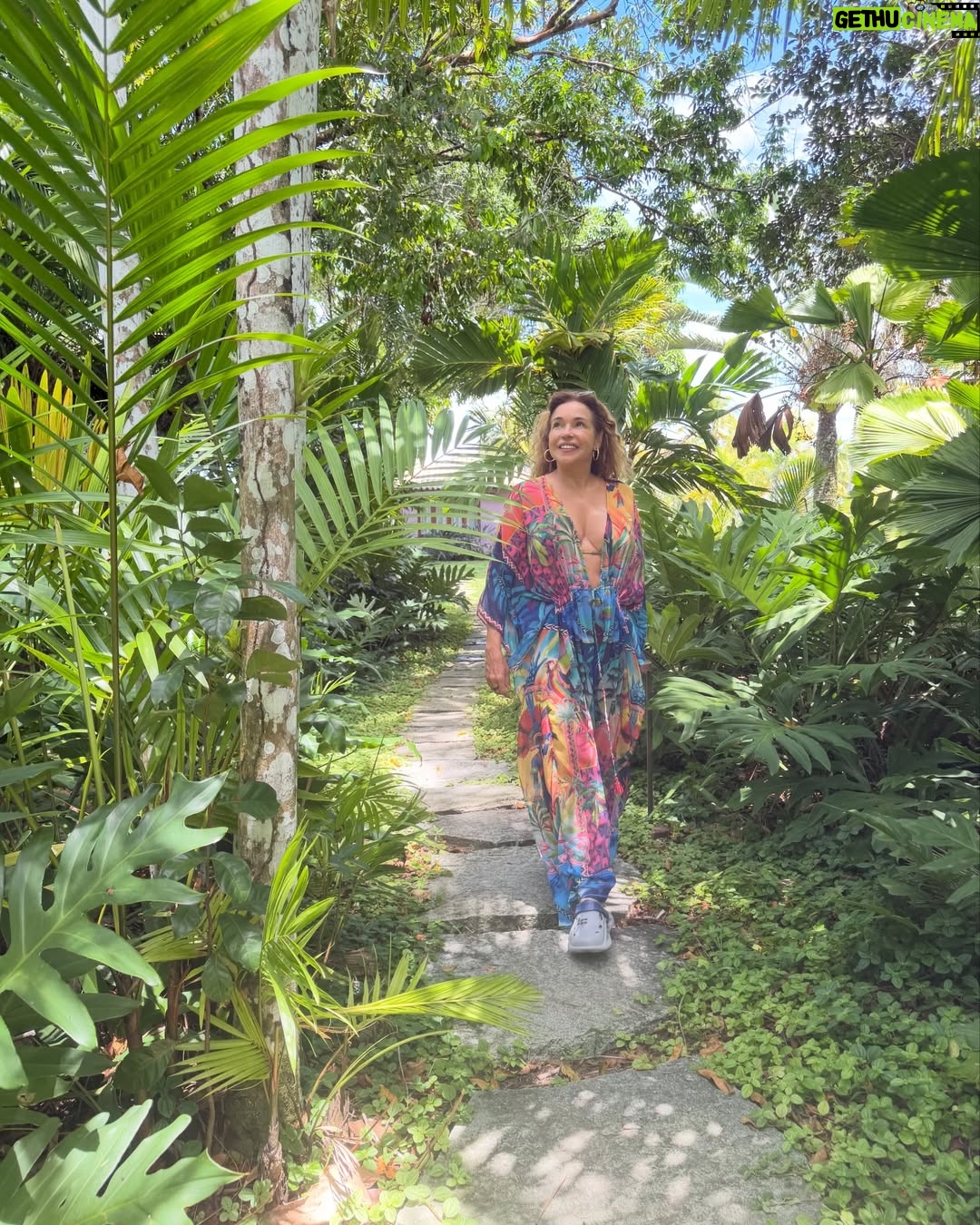 Daniela Mercury - 15.4K Likes - As cidades grandes tiram tudo de você, mas… A natureza devolve! Tô descansando no Sul da Bahia e volto já com novidades pra vocês. 💐💚