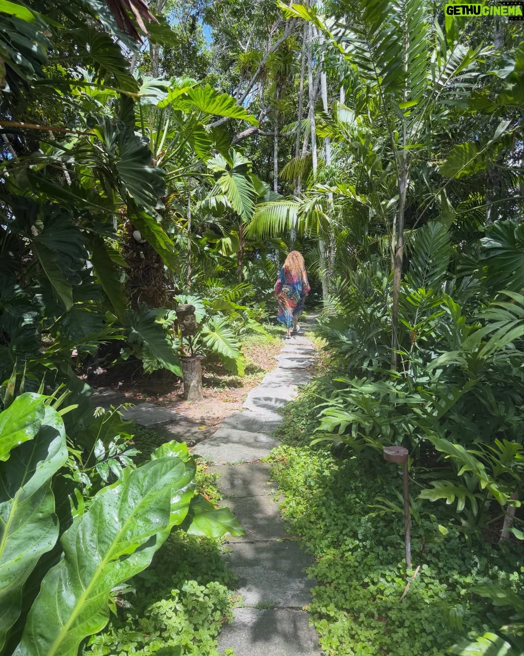 Daniela Mercury - 15.4K Likes - As cidades grandes tiram tudo de você, mas… A natureza devolve! Tô descansando no Sul da Bahia e volto já com novidades pra vocês. 💐💚