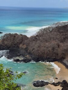 Actress Daniela Paschoal HD Photos and Wallpapers February 2026